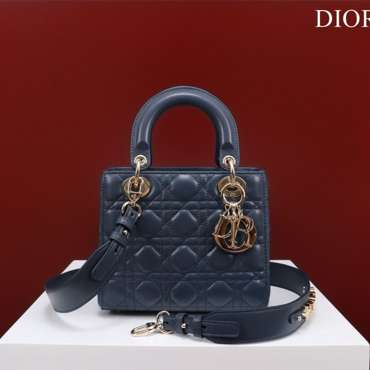 chr1st1an D10r my lady bags